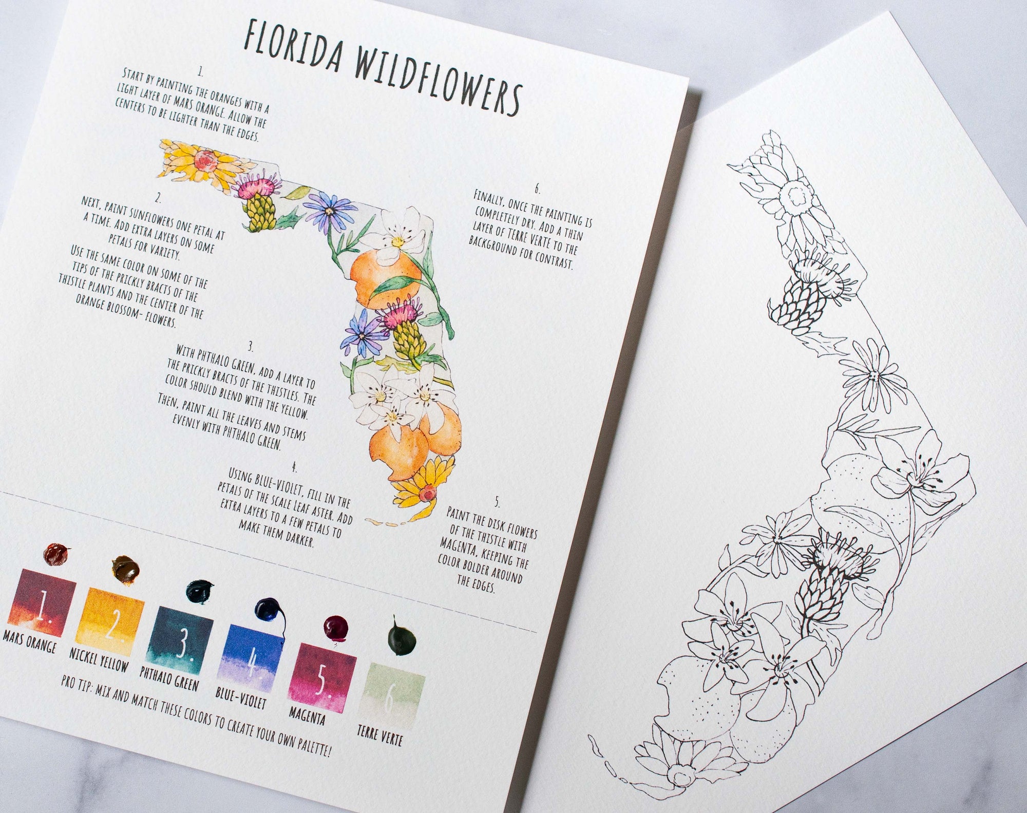 Florida Wildflowers