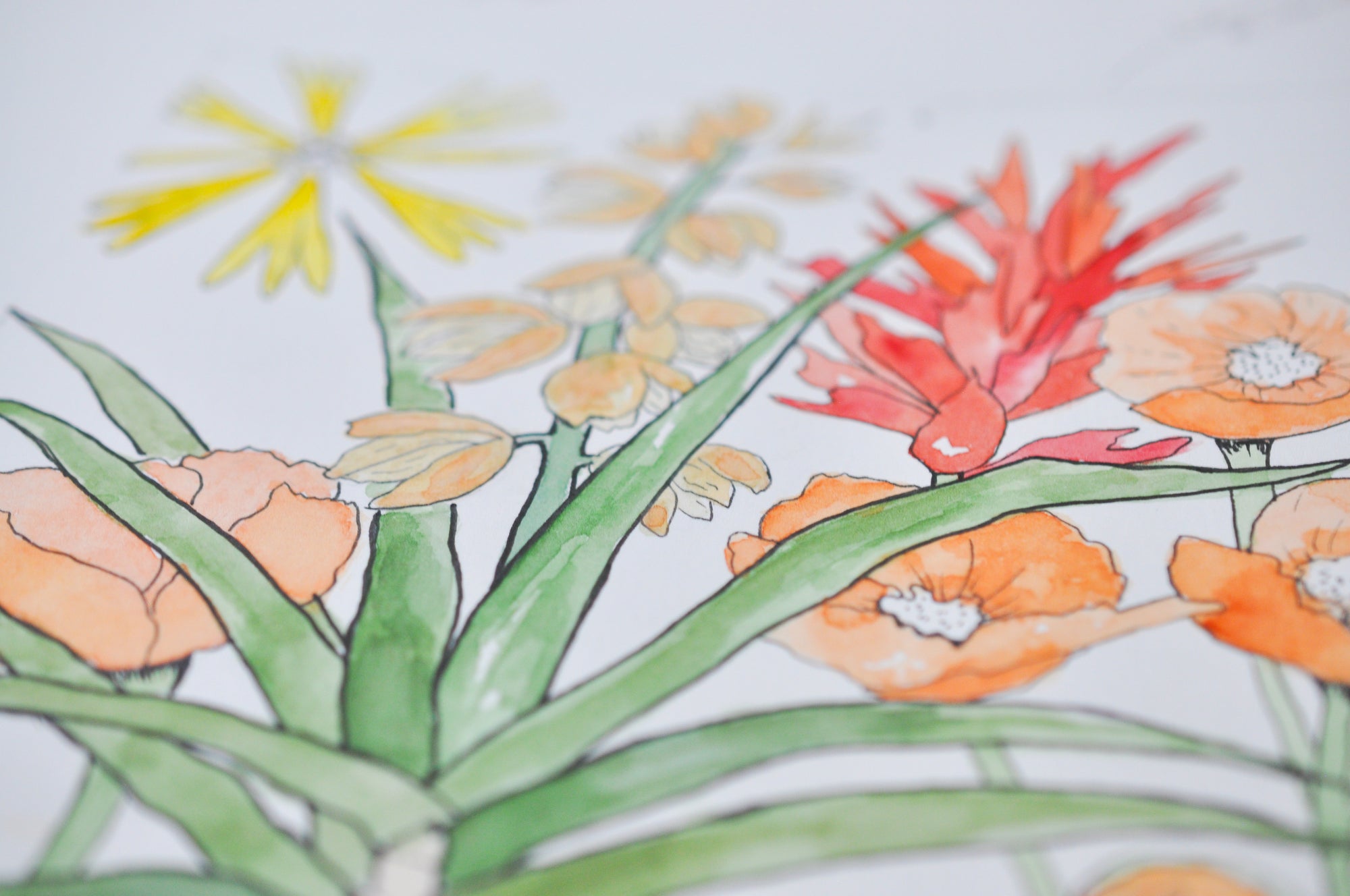 DIY Texas Watercolor Kit – Bluebonnets Painting Set | Maya + Kiwi