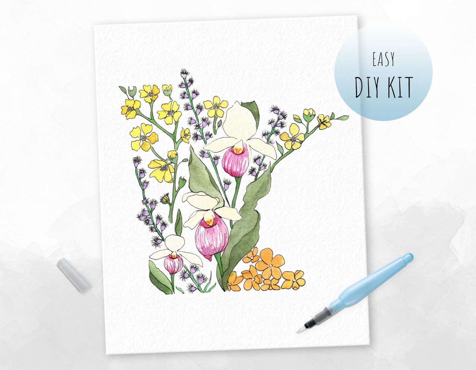 Minnesota Wildflowers