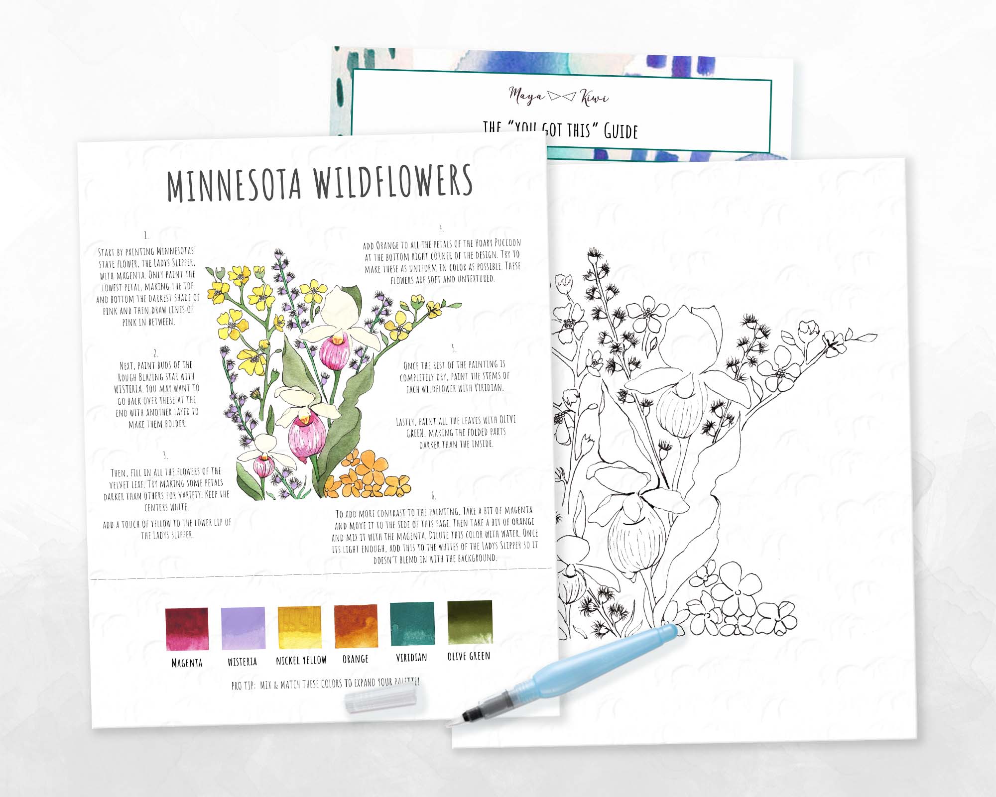 Minnesota Wildflowers