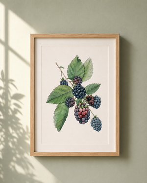 Mama's Blackberries