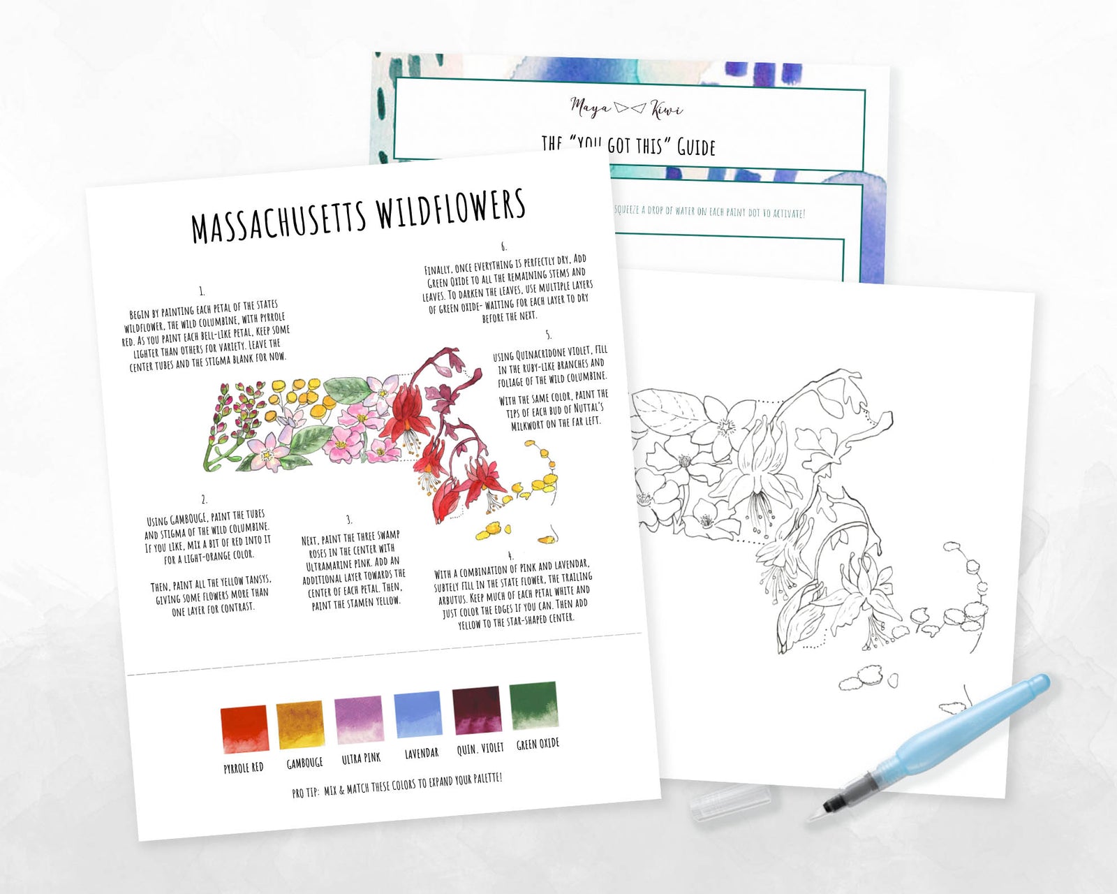 Massachusetts Wildflowers