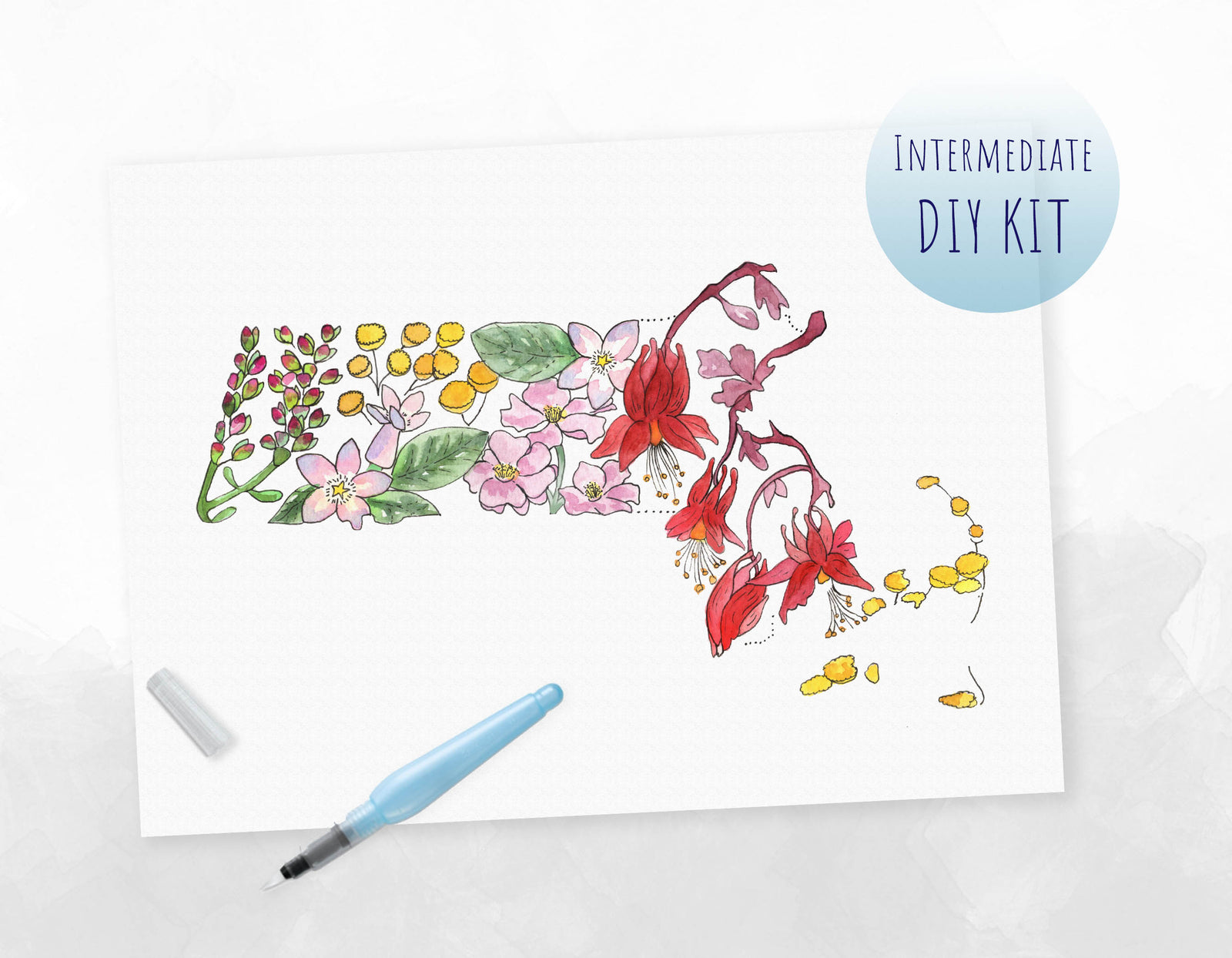 Massachusetts Wildflowers