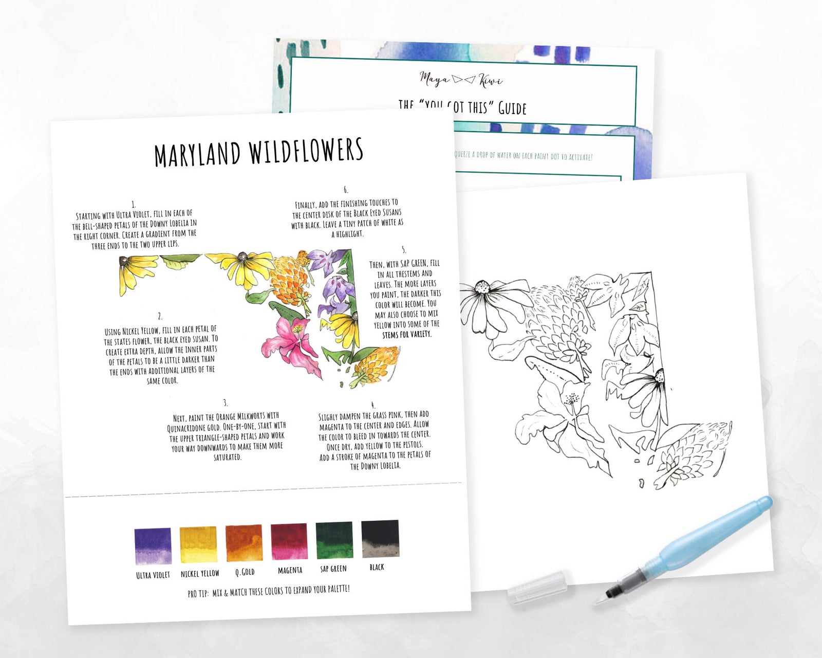 Maryland Wildflowers