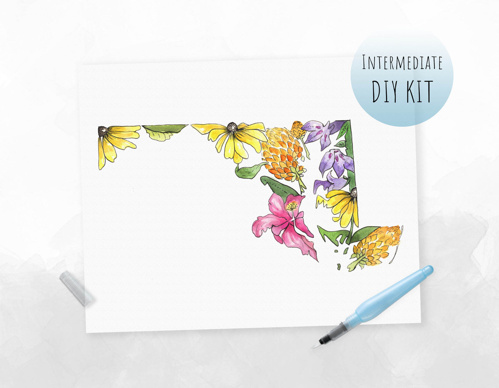 Maryland Wildflowers