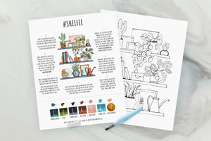 Bookshelf Watercolor Kit