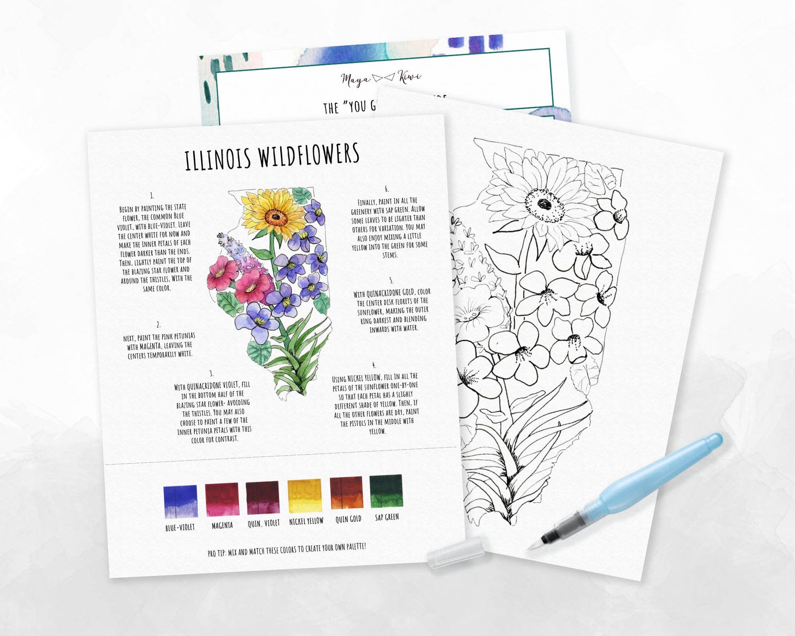 Illinois Wildflowers