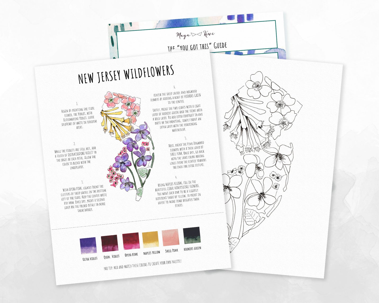 New Jersey Wildflowers