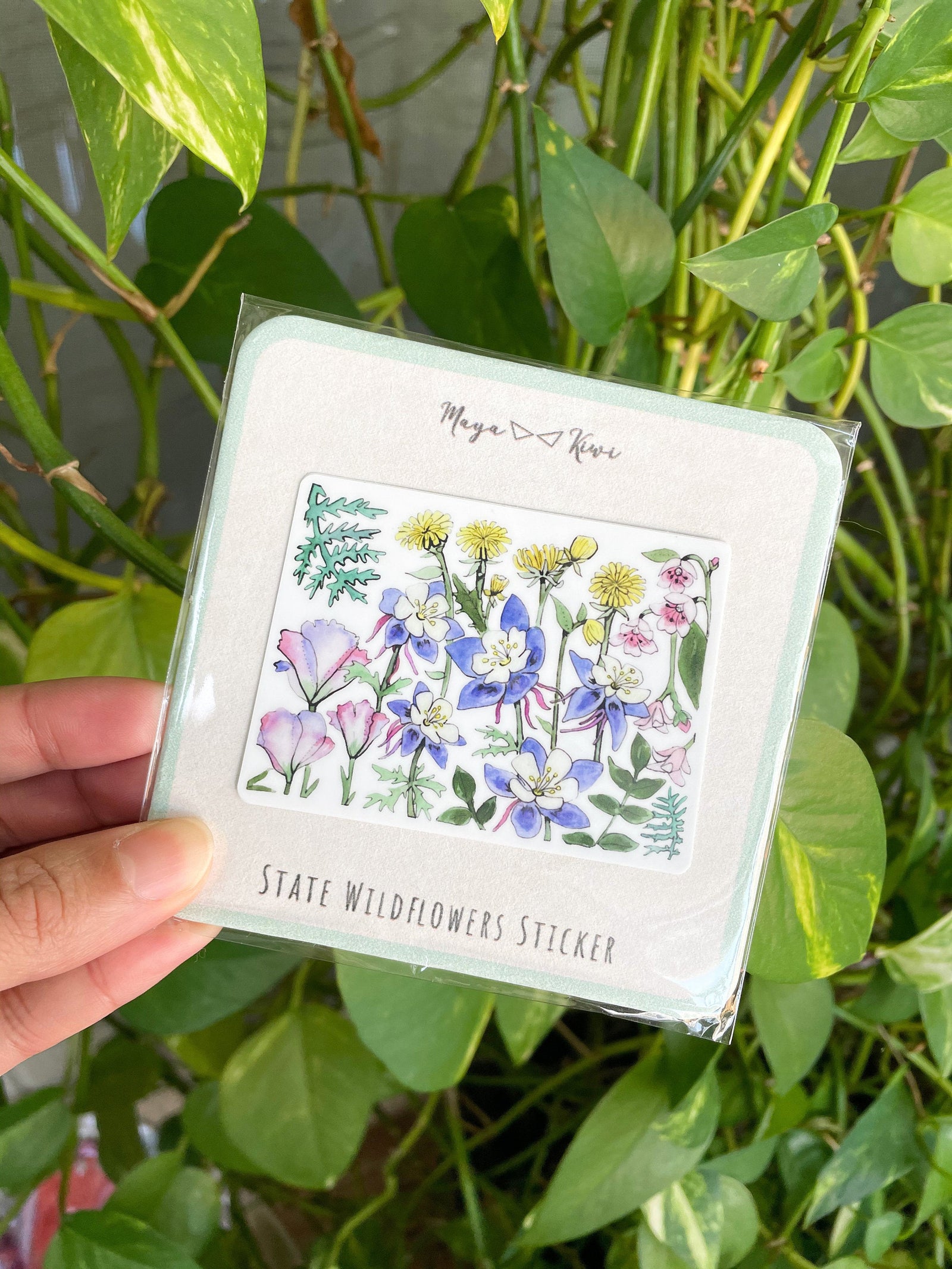 Colorado Sticker | Watercolor Wildflowers