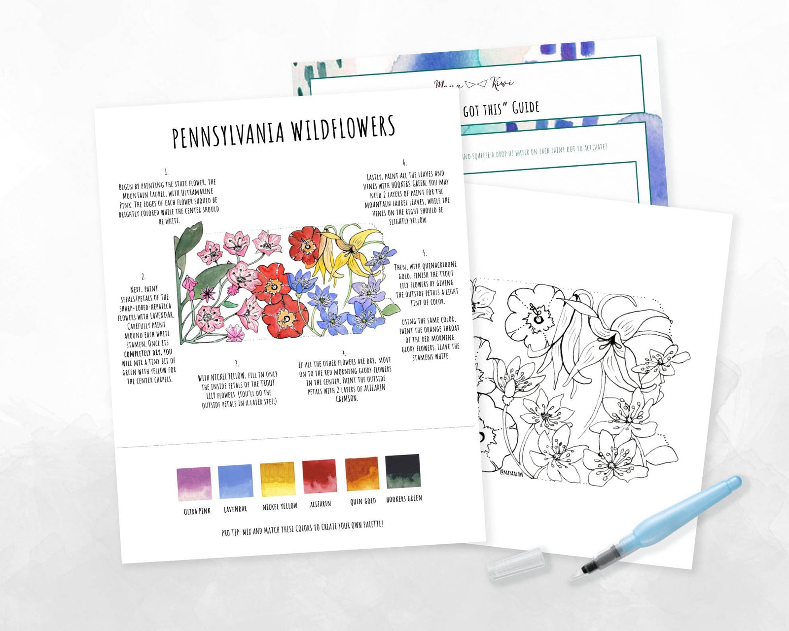 Pennsylvania Wildflowers