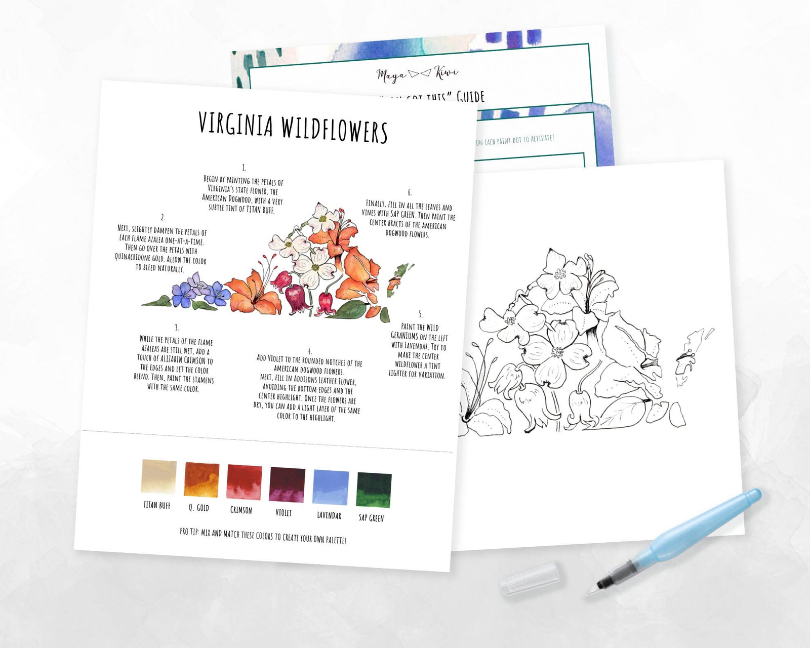 Virginia Wildflowers