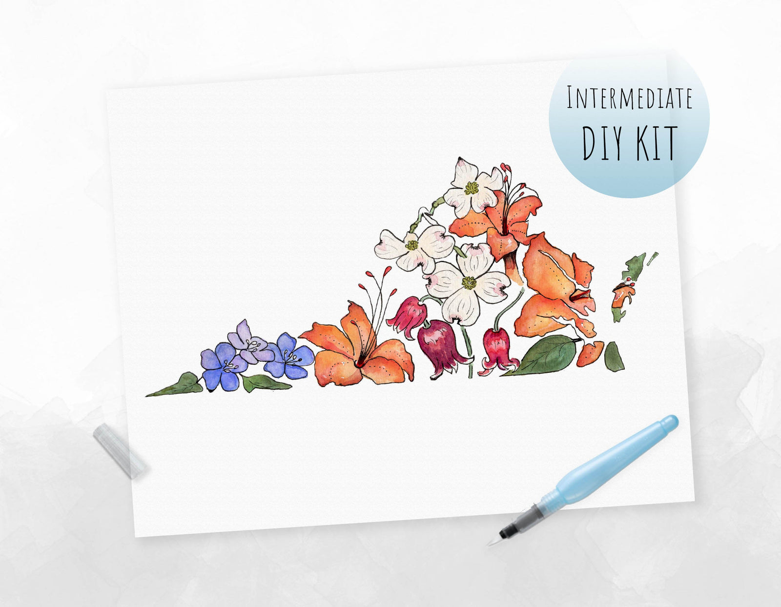 Virginia Wildflowers