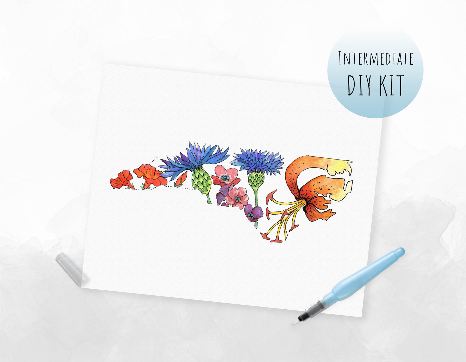 North Carolina Wildflowers